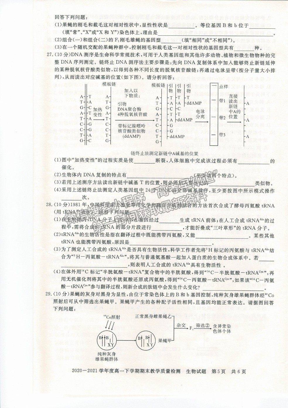 2021信陽(yáng)市高一下學(xué)期期末質(zhì)檢生物試題及參考答案