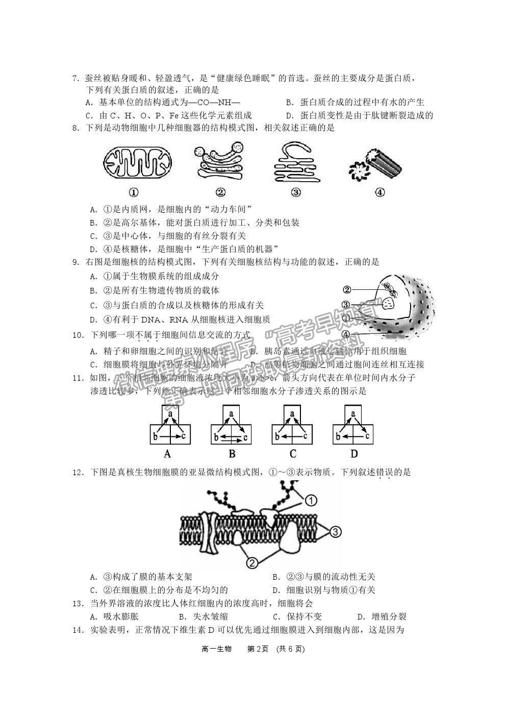 2021廣西百色市高一上學(xué)期期末教學(xué)質(zhì)量調(diào)研測試生物試題及參考答案