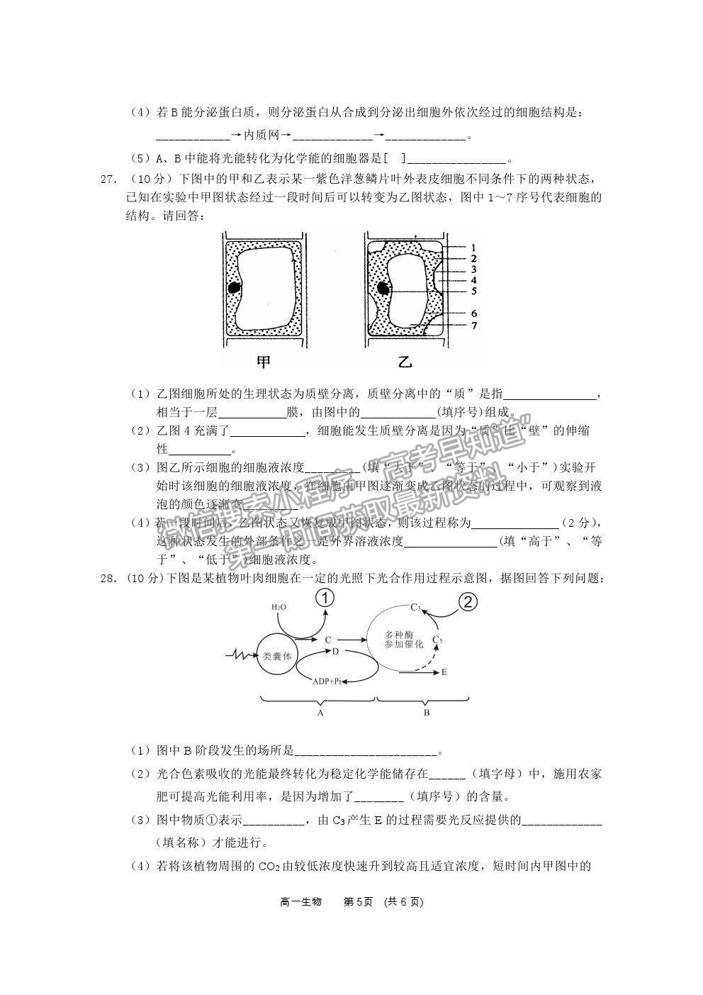 2021廣西百色市高一上學期期末教學質(zhì)量調(diào)研測試生物試題及參考答案