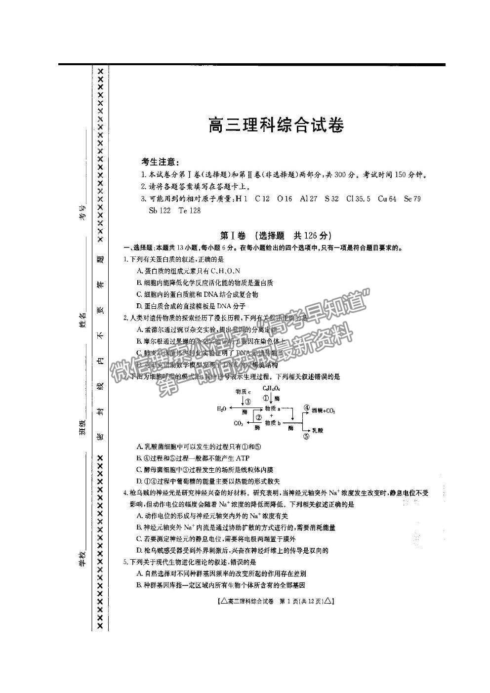 2021青海省海東市高三二模理綜試題及參考答案