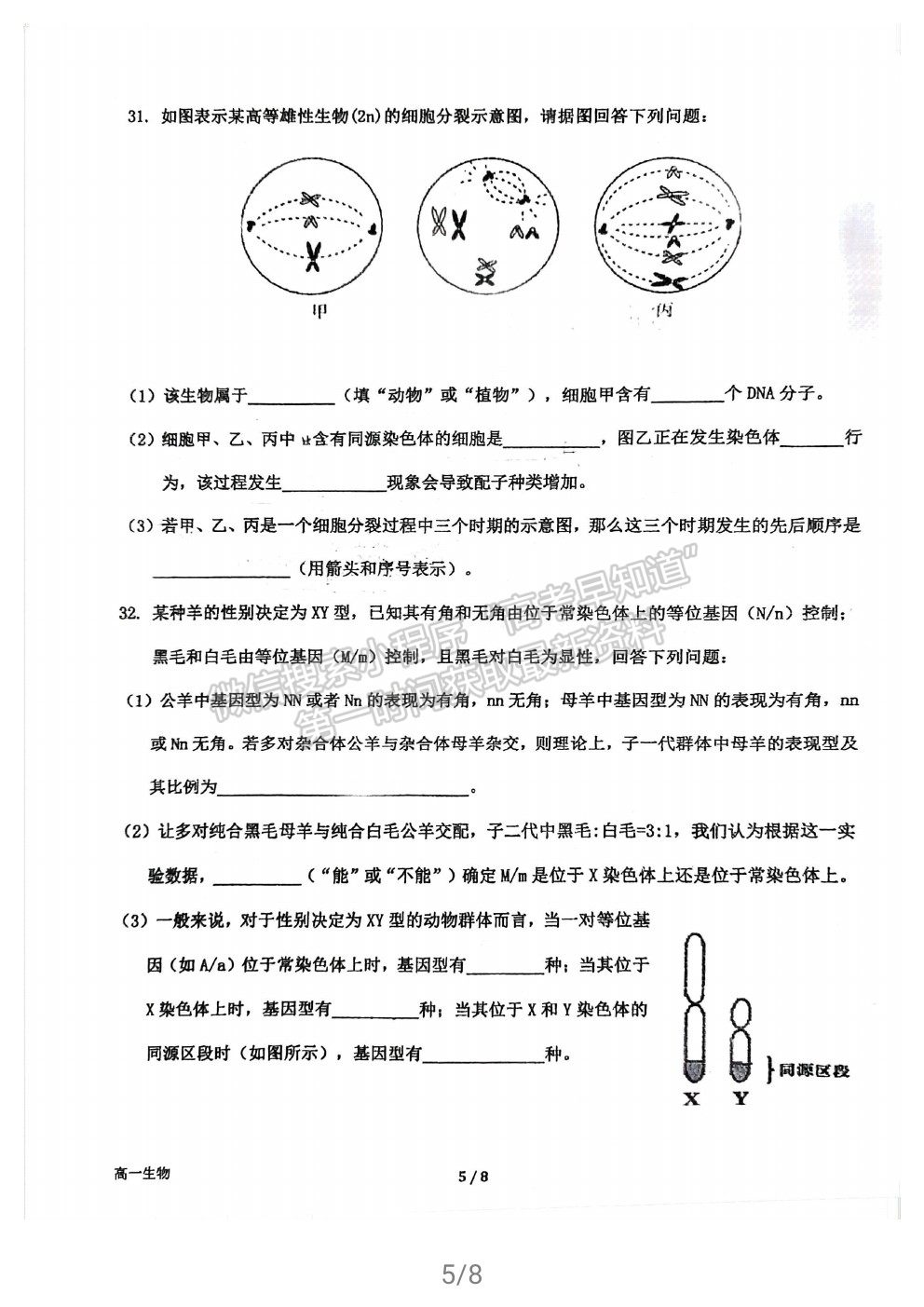 2021福州格致中學(xué)高一下學(xué)期期中考生物試題及參考答案