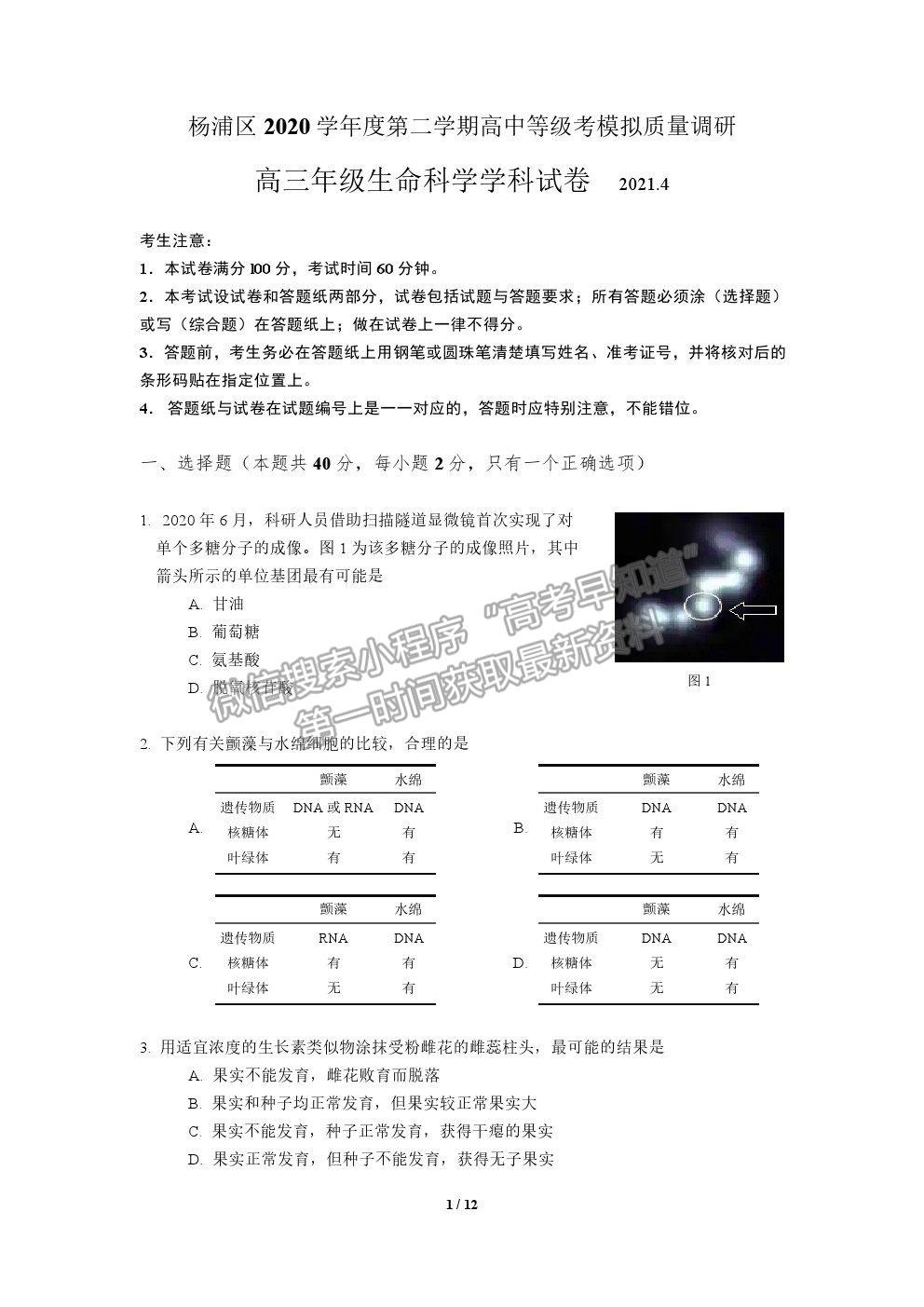 2021上海市楊浦區(qū)高考二模生物試題及參考答案