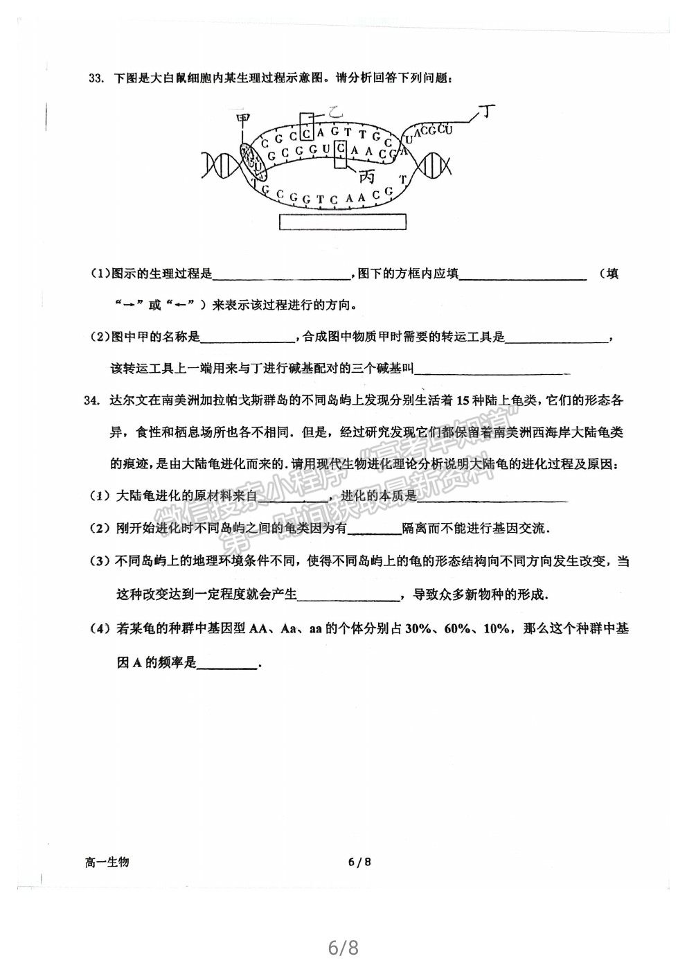 2021福州格致中學(xué)高一下學(xué)期期中考生物試題及參考答案