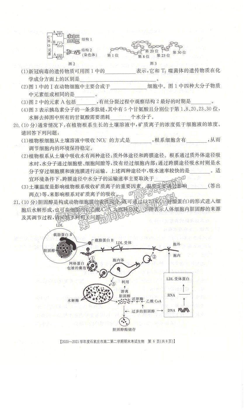 2021石家莊市高二下學(xué)期期末質(zhì)檢生物試題及參考答案