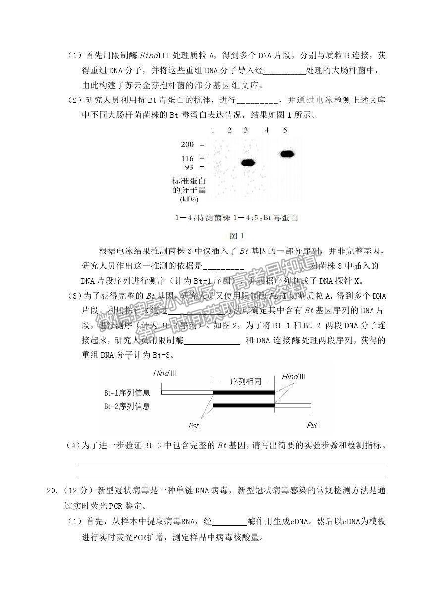 2021北京市延慶區(qū)高二下學(xué)期期中考試生物試題及參考答案