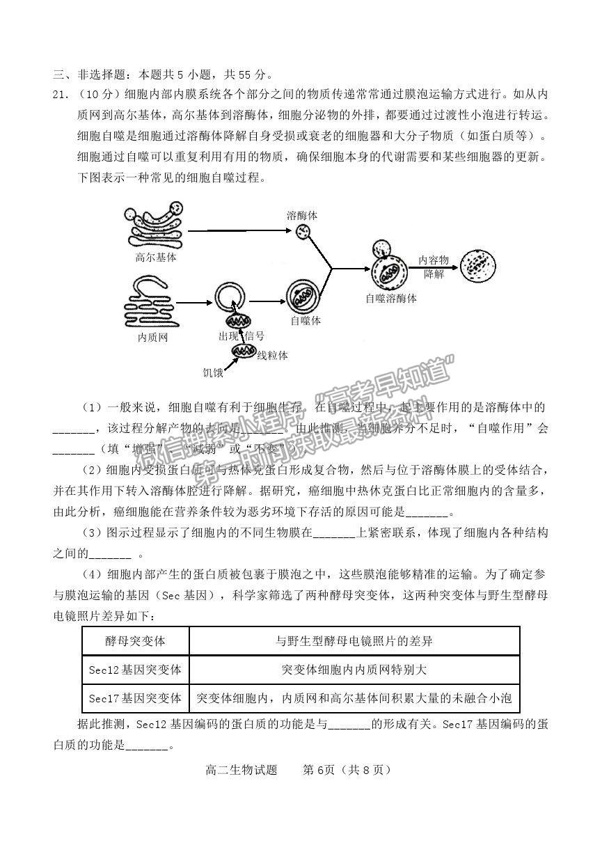 2021山東省煙臺市高二下學期期末考試生物試題及參考答案