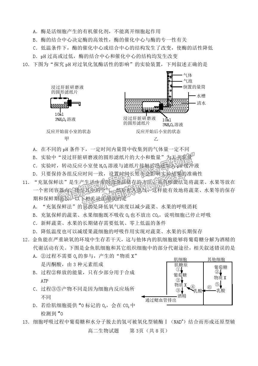 2021山東省煙臺市高二下學(xué)期期末考試生物試題及參考答案