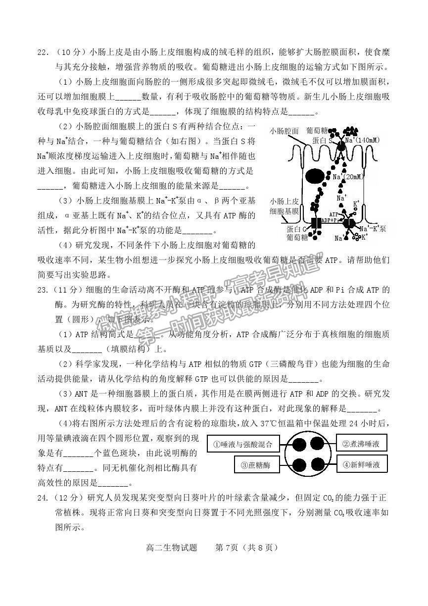 2021山東省煙臺市高二下學期期末考試生物試題及參考答案