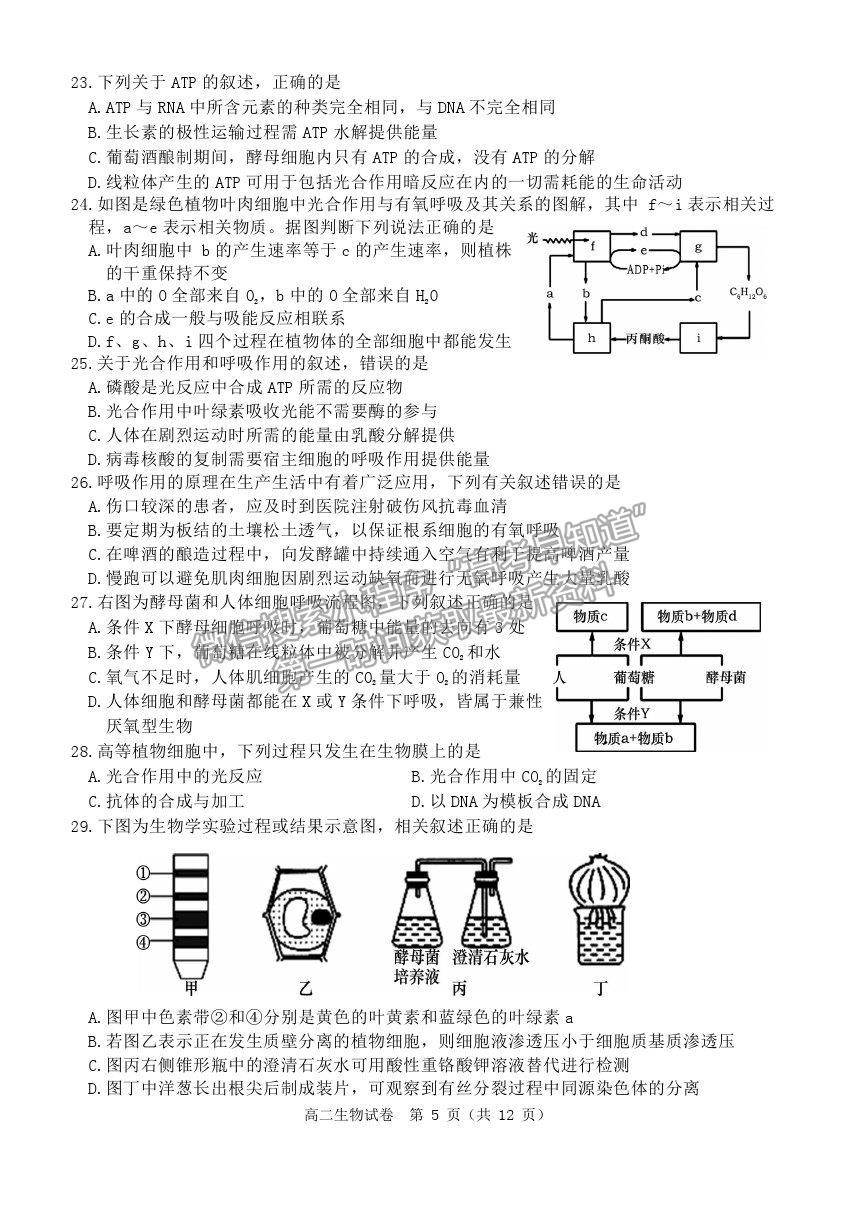 2021黑龍江省齊齊哈爾市高二下學(xué)期期末考試生物試題及參考答案