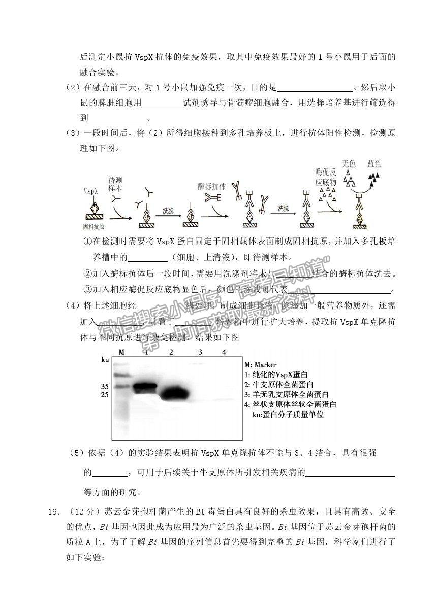 2021北京市延慶區(qū)高二下學期期中考試生物試題及參考答案