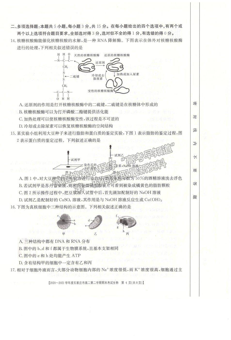 2021石家莊市高二下學期期末質(zhì)檢生物試題及參考答案