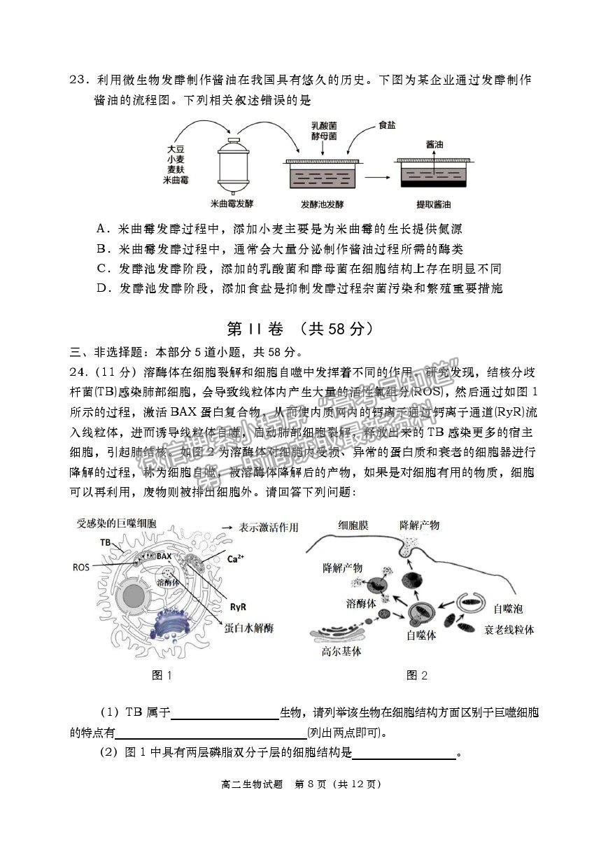 2021山東省青島（膠州市、黃島區(qū)、平度區(qū)、城陽區(qū)）高二下學(xué)期期末考試生物試題及參考答案