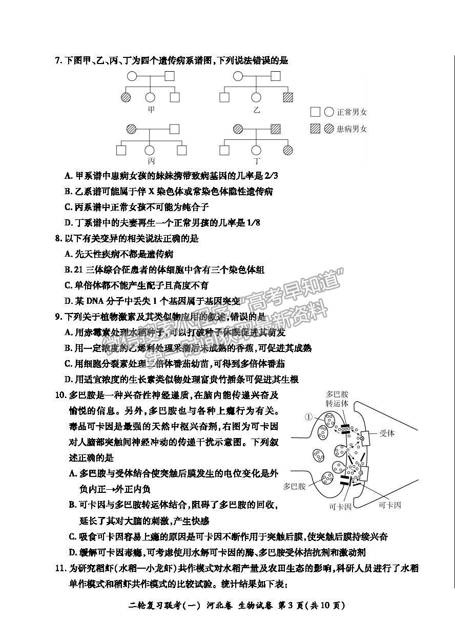 2021河北省高三二輪復(fù)習(xí)聯(lián)考（一）生物試卷及答案