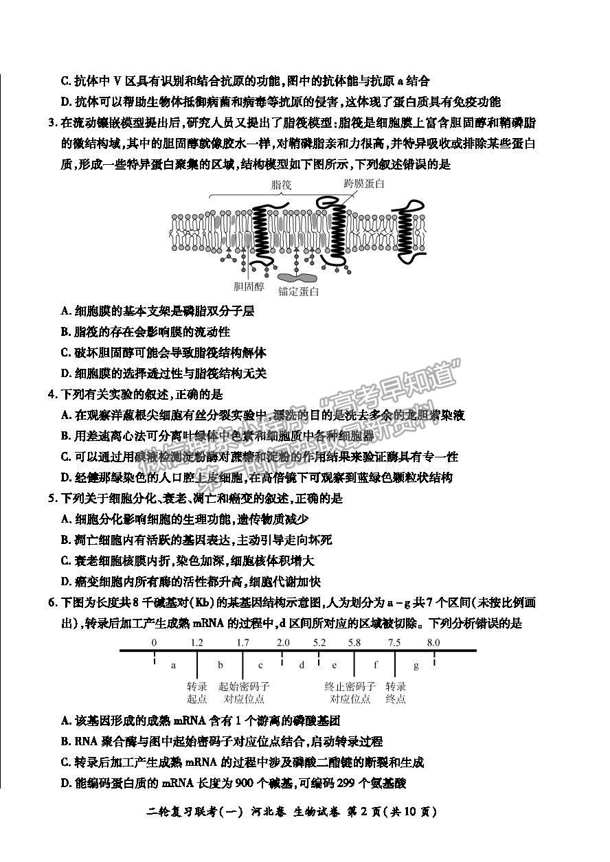 2021河北省高三二輪復(fù)習(xí)聯(lián)考（一）生物試卷及答案