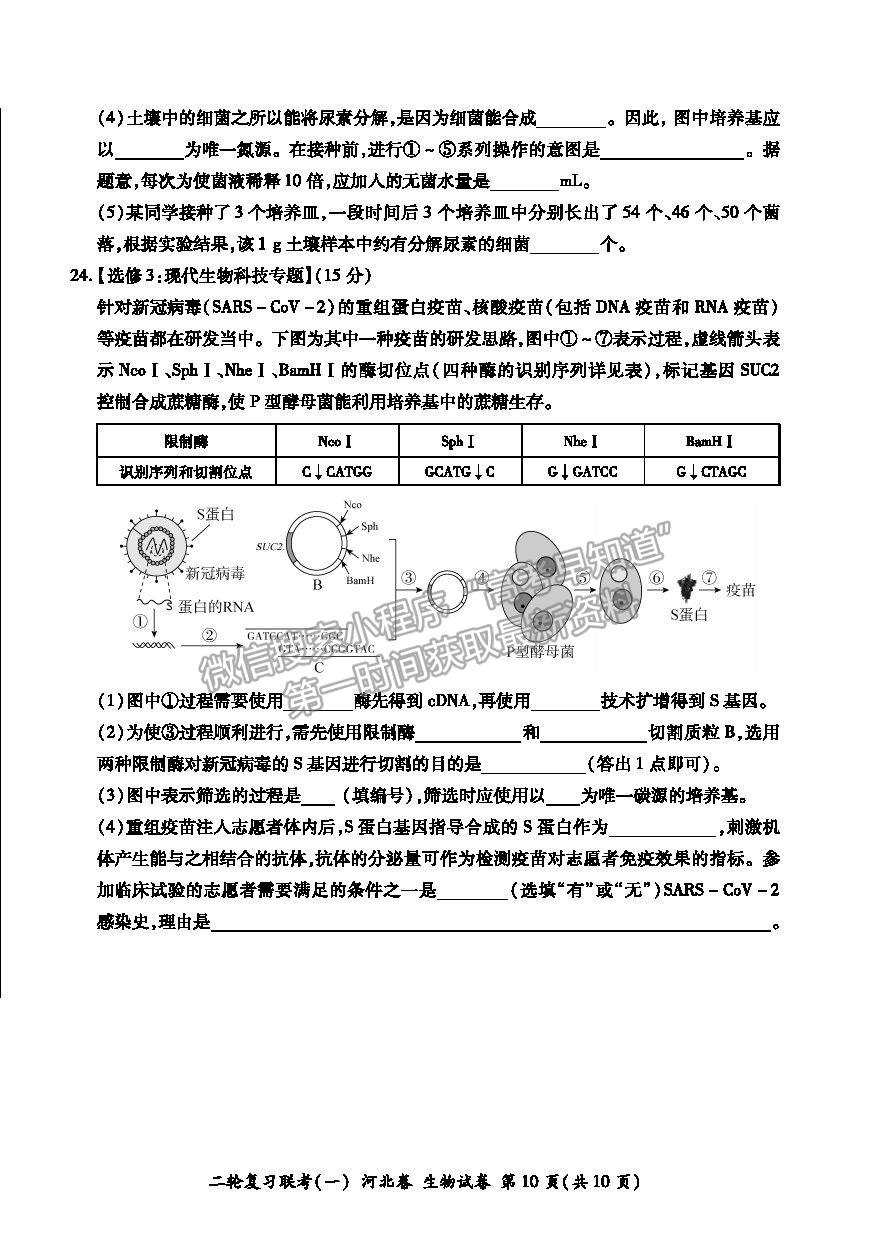 2021河北省高三二輪復(fù)習(xí)聯(lián)考（一）生物試卷及答案