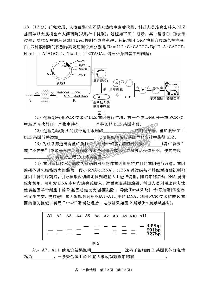 2021山東省青島（膠州市、黃島區(qū)、平度區(qū)、城陽區(qū)）高二下學(xué)期期末考試生物試題及參考答案