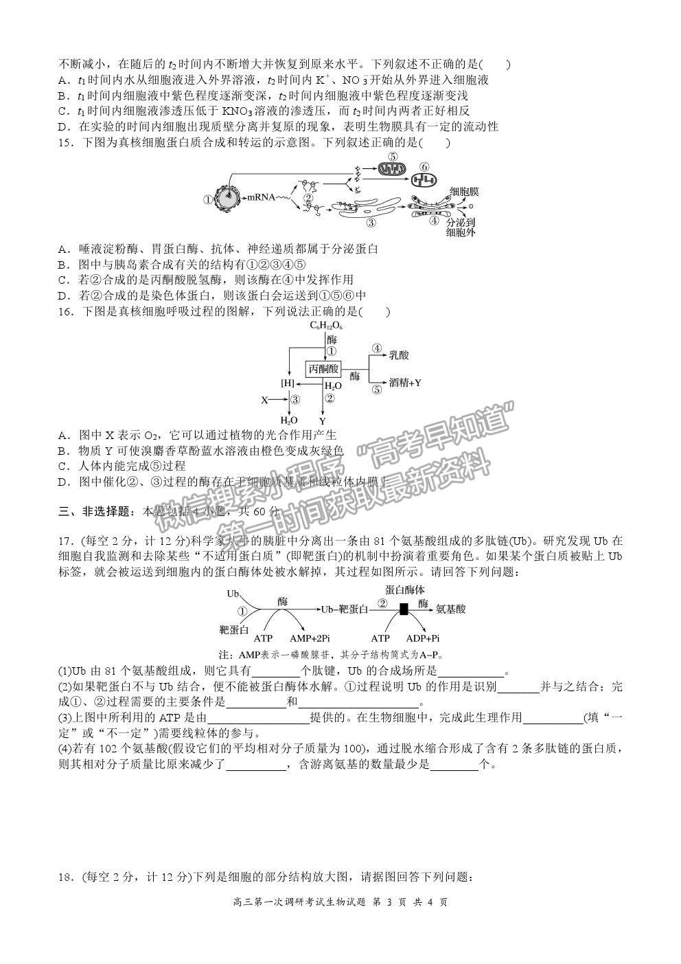 2021廣東省普寧市勤建學(xué)校高三上學(xué)期第一次調(diào)研考試生物試卷及答案