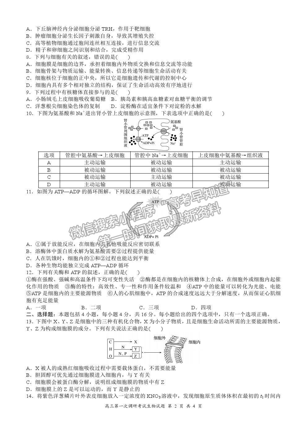 2021廣東省普寧市勤建學校高三上學期第一次調(diào)研考試生物試卷及答案