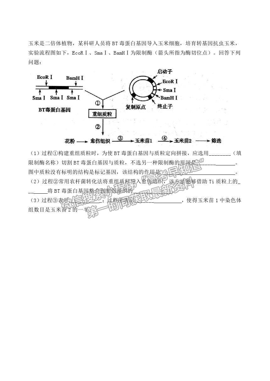 2021河北省五校聯(lián)盟高二下學(xué)期期末（新高三）摸底考試生物試卷及答案