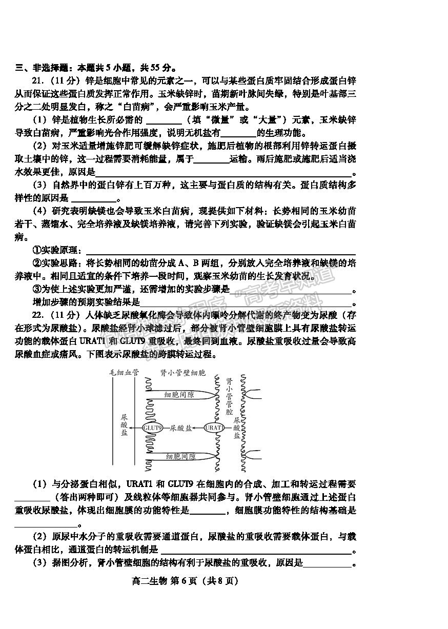 2021濰坊市高二下學期期末考試生物試卷及答案