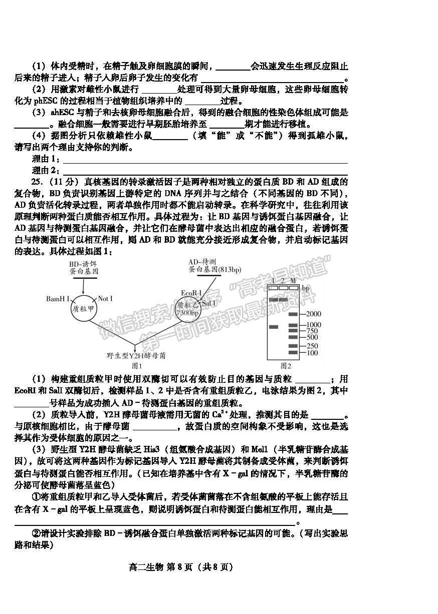 2021濰坊市高二下學期期末考試生物試卷及答案