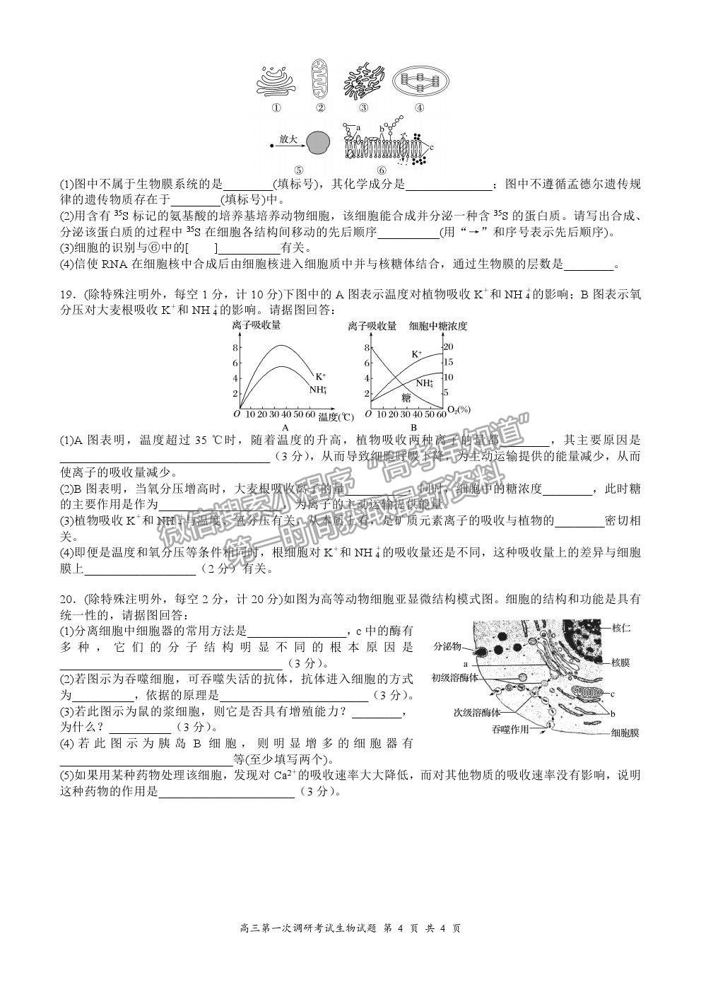 2021廣東省普寧市勤建學(xué)校高三上學(xué)期第一次調(diào)研考試生物試卷及答案