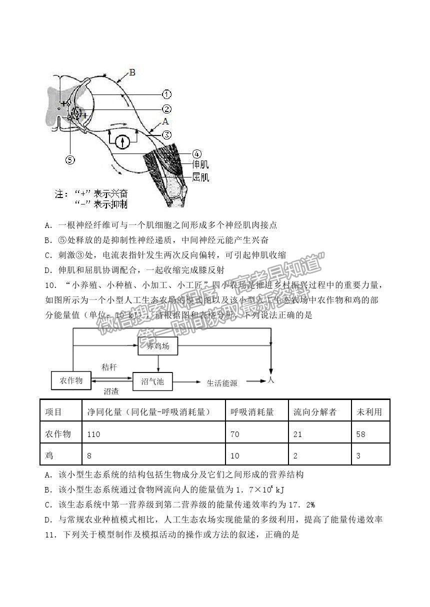 2021河北省五校聯(lián)盟高二下學(xué)期期末（新高三）摸底考試生物試卷及答案