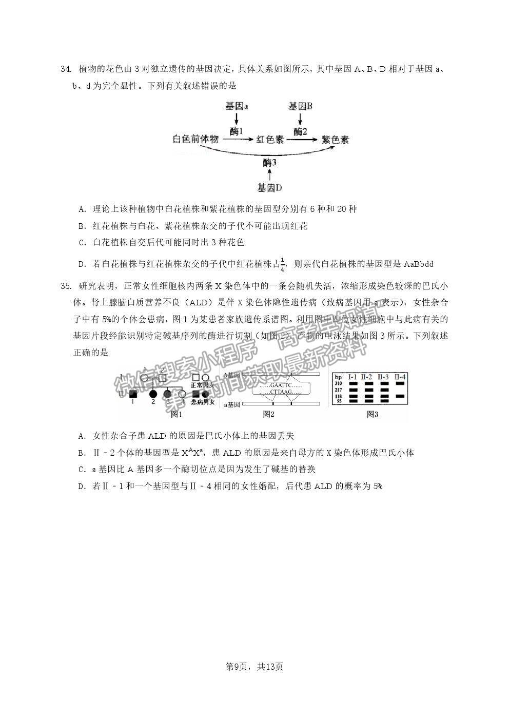 2021廣東省廣雅、執(zhí)信、二中、六中、省實五校高一下學(xué)期期末聯(lián)考生物試卷及答案