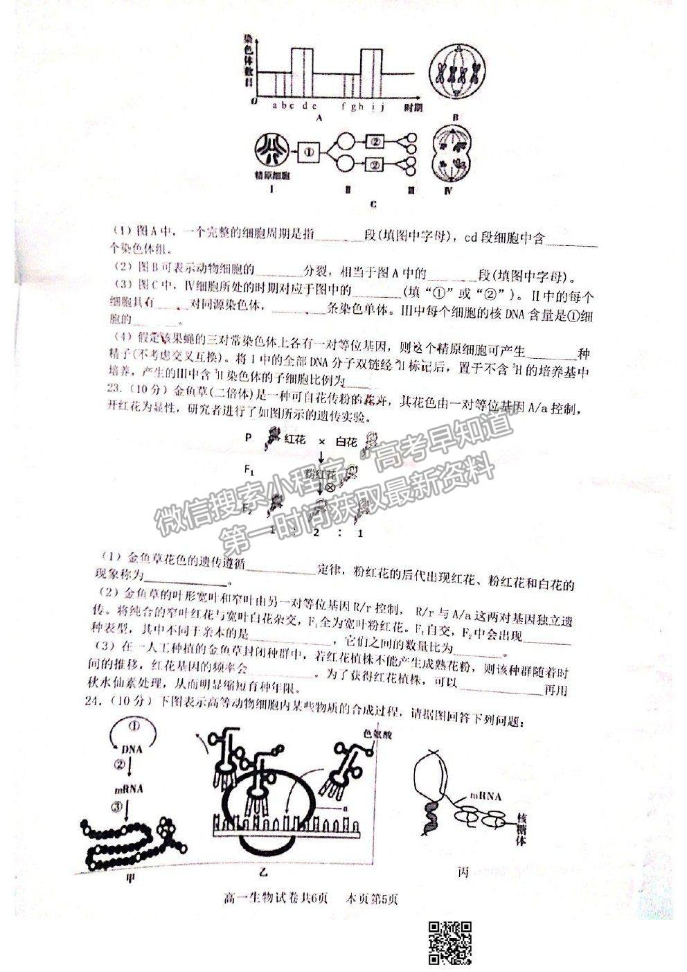 2021廣東省佛山市南海區(qū)高一下學(xué)期期末考試生物試卷及答案