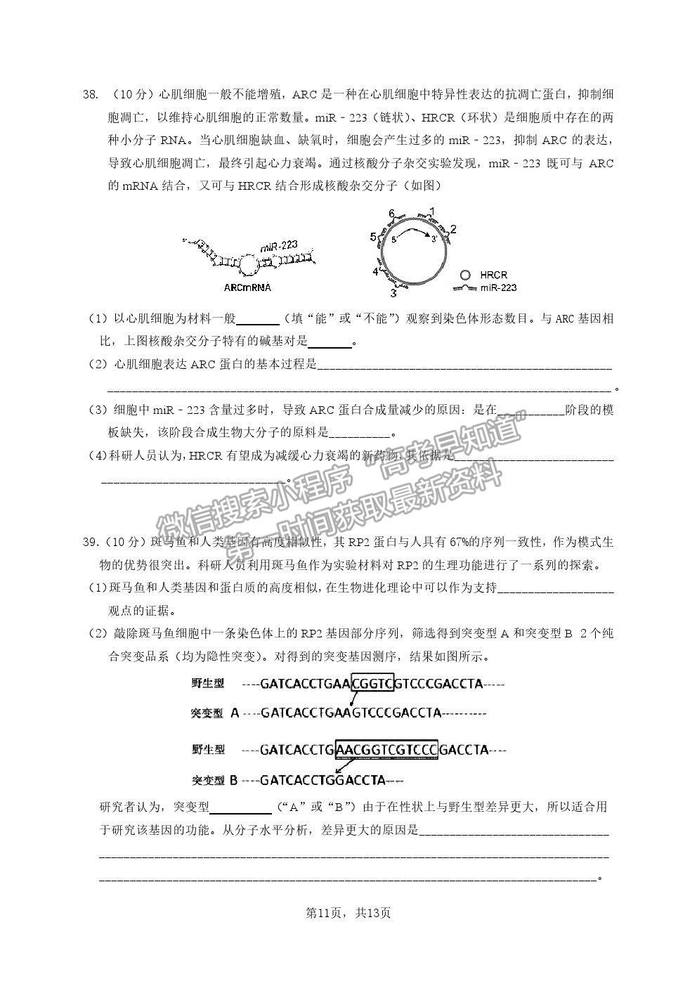 2021廣東省廣雅、執(zhí)信、二中、六中、省實(shí)五校高一下學(xué)期期末聯(lián)考生物試卷及答案