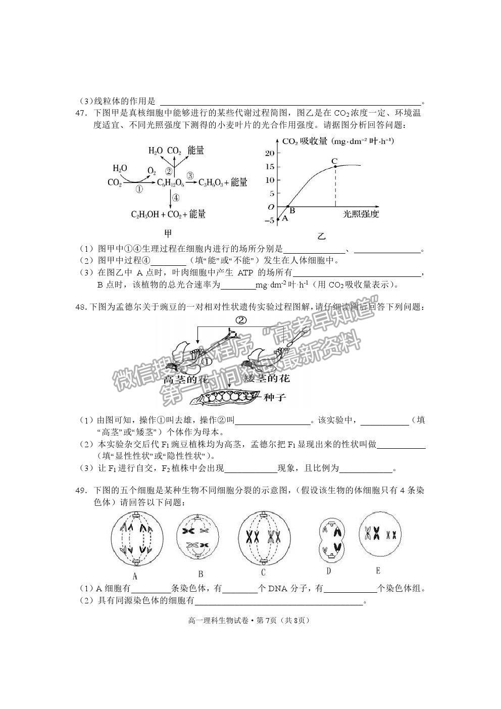 2021云南省麗江市高一下學(xué)期期末教學(xué)質(zhì)量監(jiān)測生物試卷及答案