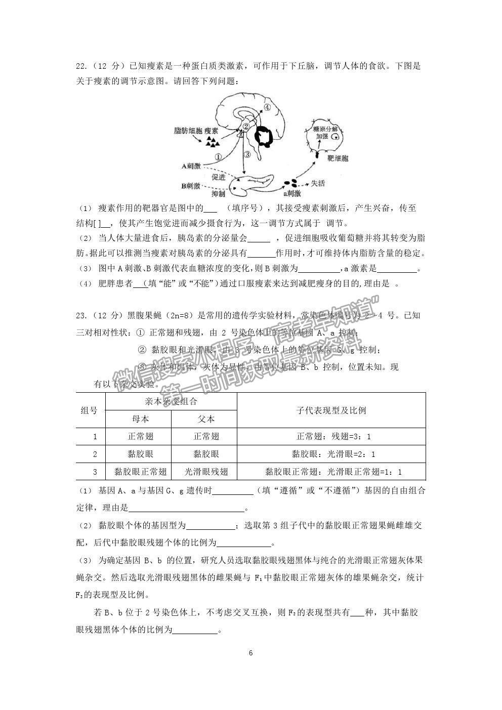 2021廣東省華附、省實、廣雅、深中四校高二下學期期末聯(lián)考生物試卷及答案