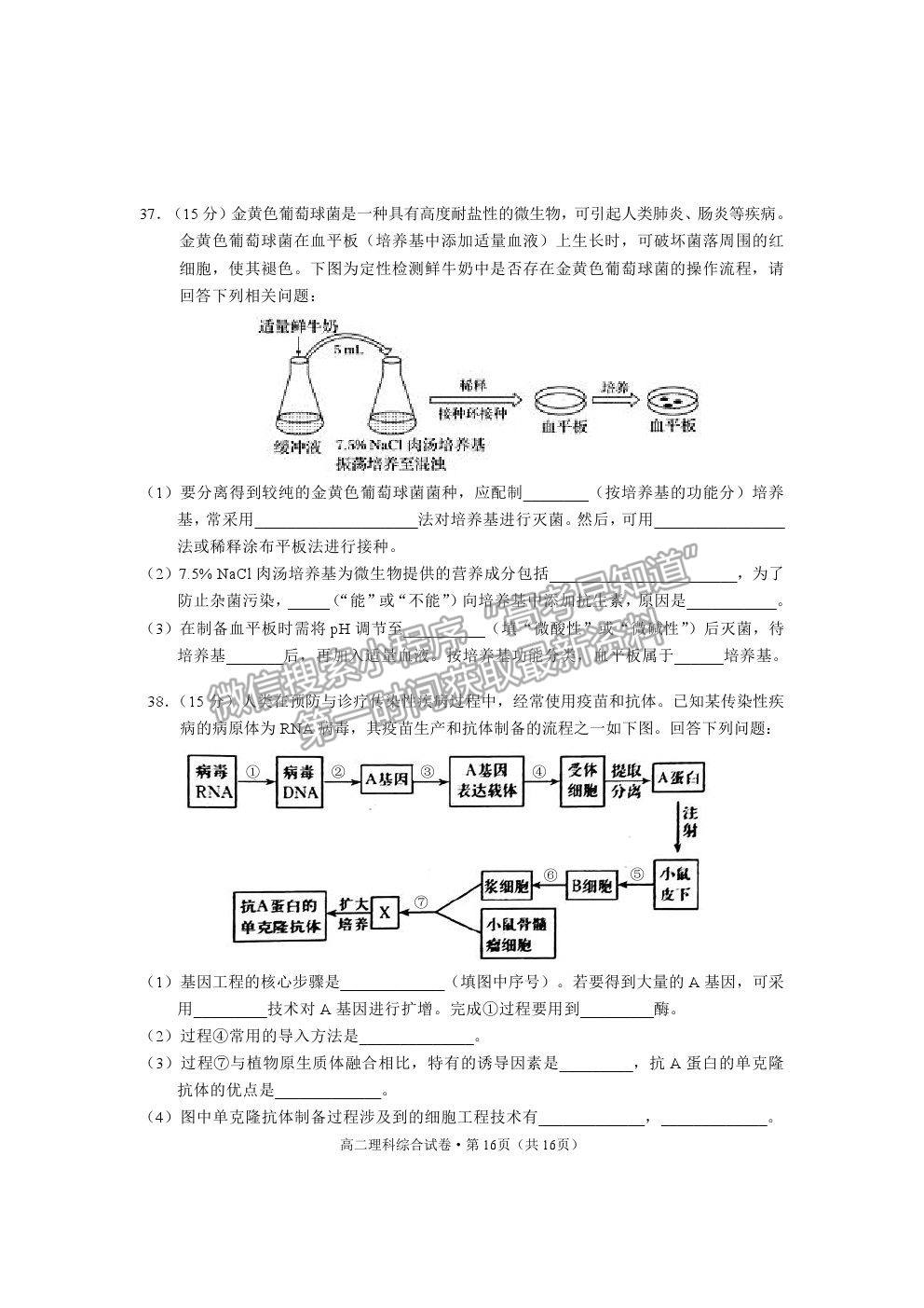 2021云南省麗江市高二下學期期末教學質量監(jiān)測理綜試卷及答案