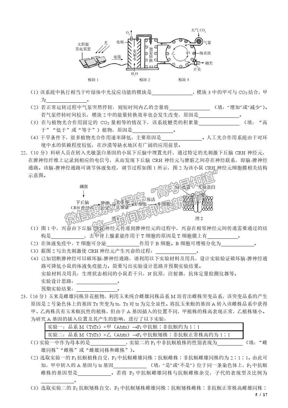 2020新高考I卷真題生物試卷及參考答案