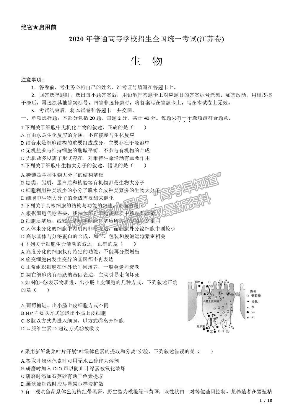 2020江蘇卷高考真題生物試卷及參考答案