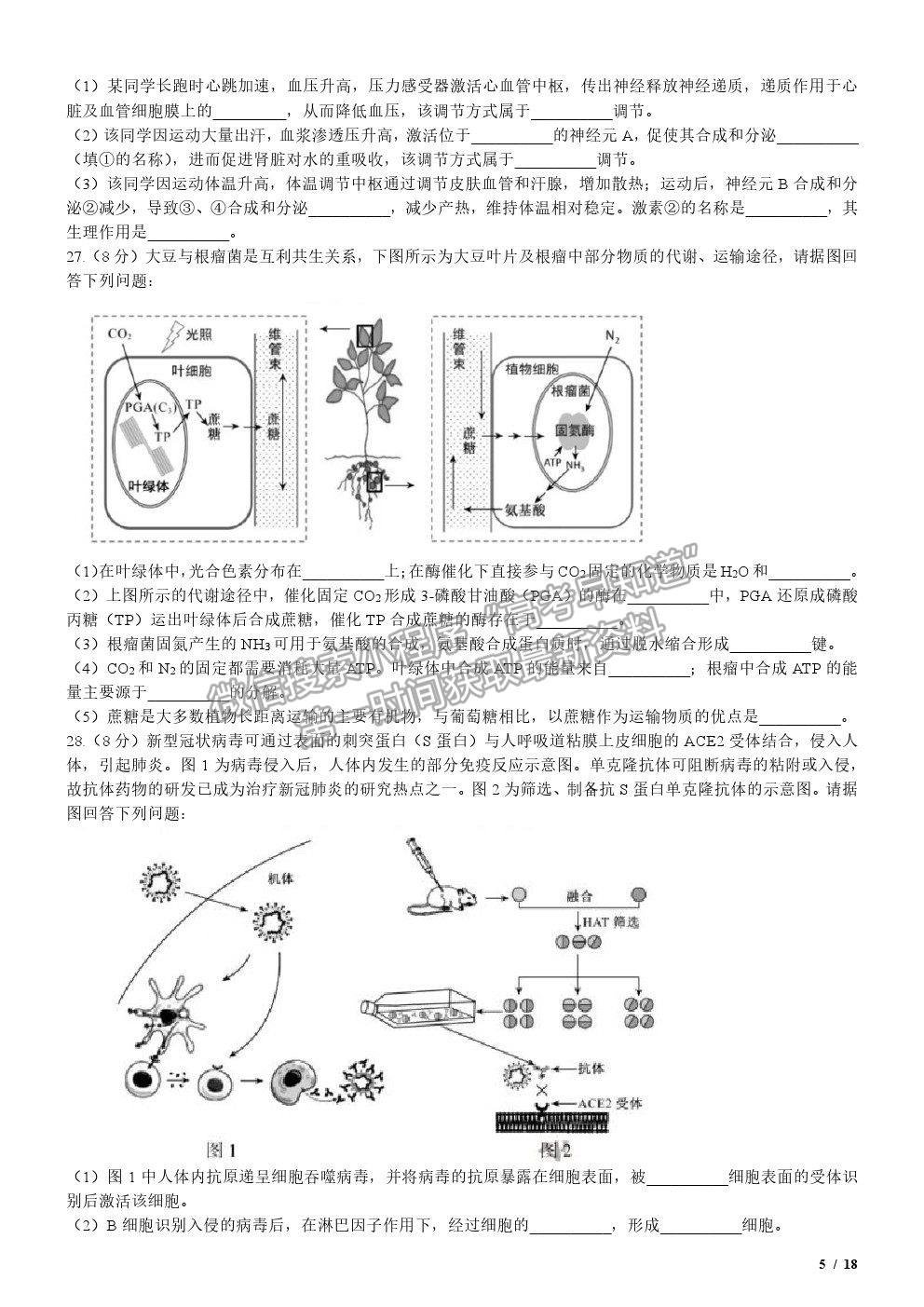 2020江蘇卷高考真題生物試卷及參考答案