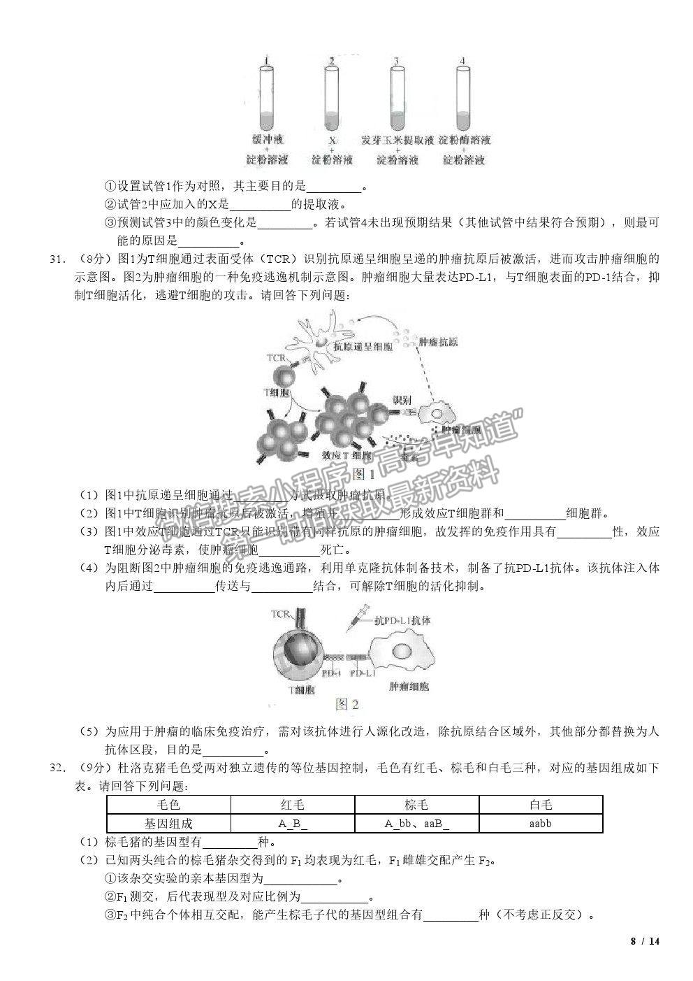 2019江蘇卷高考真題生物試卷及參考答案