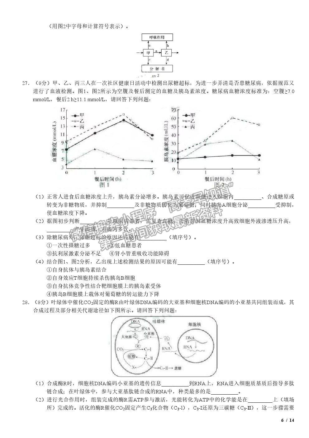 2019江蘇卷高考真題生物試卷及參考答案