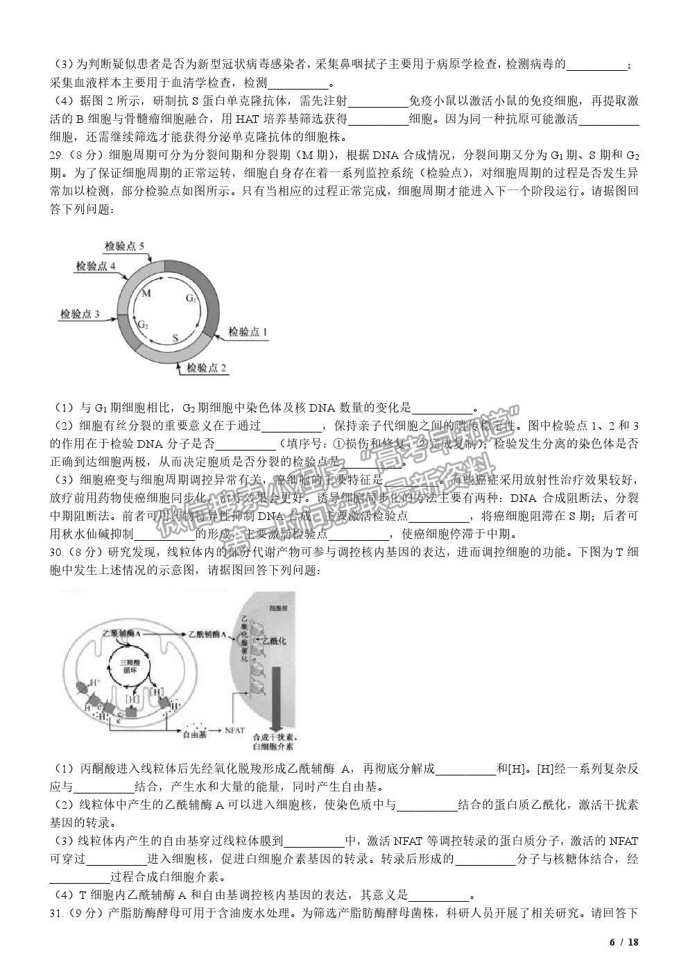 2020江蘇卷高考真題生物試卷及參考答案