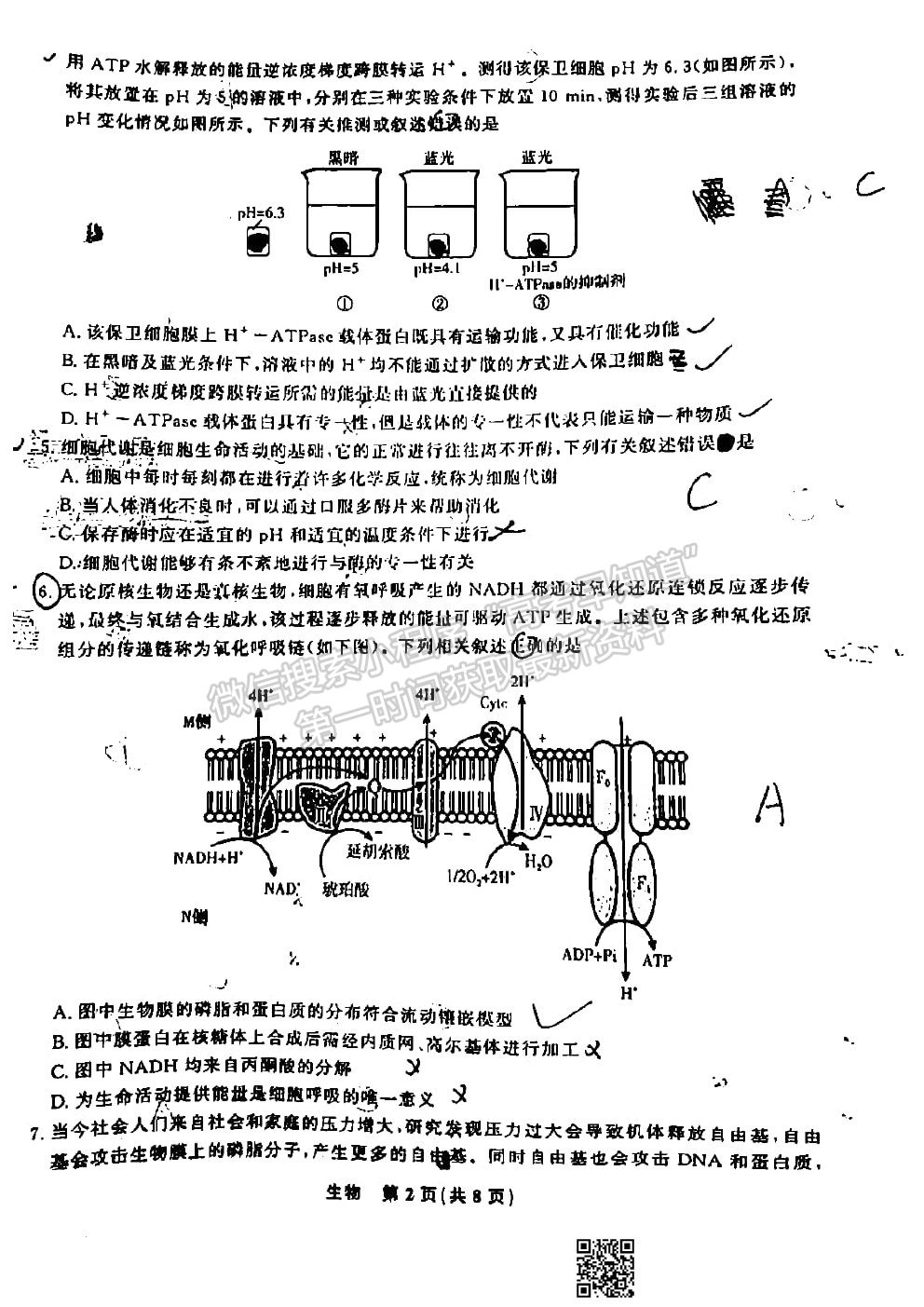 2022江西智學聯盟體高三聯考生物試卷及答案