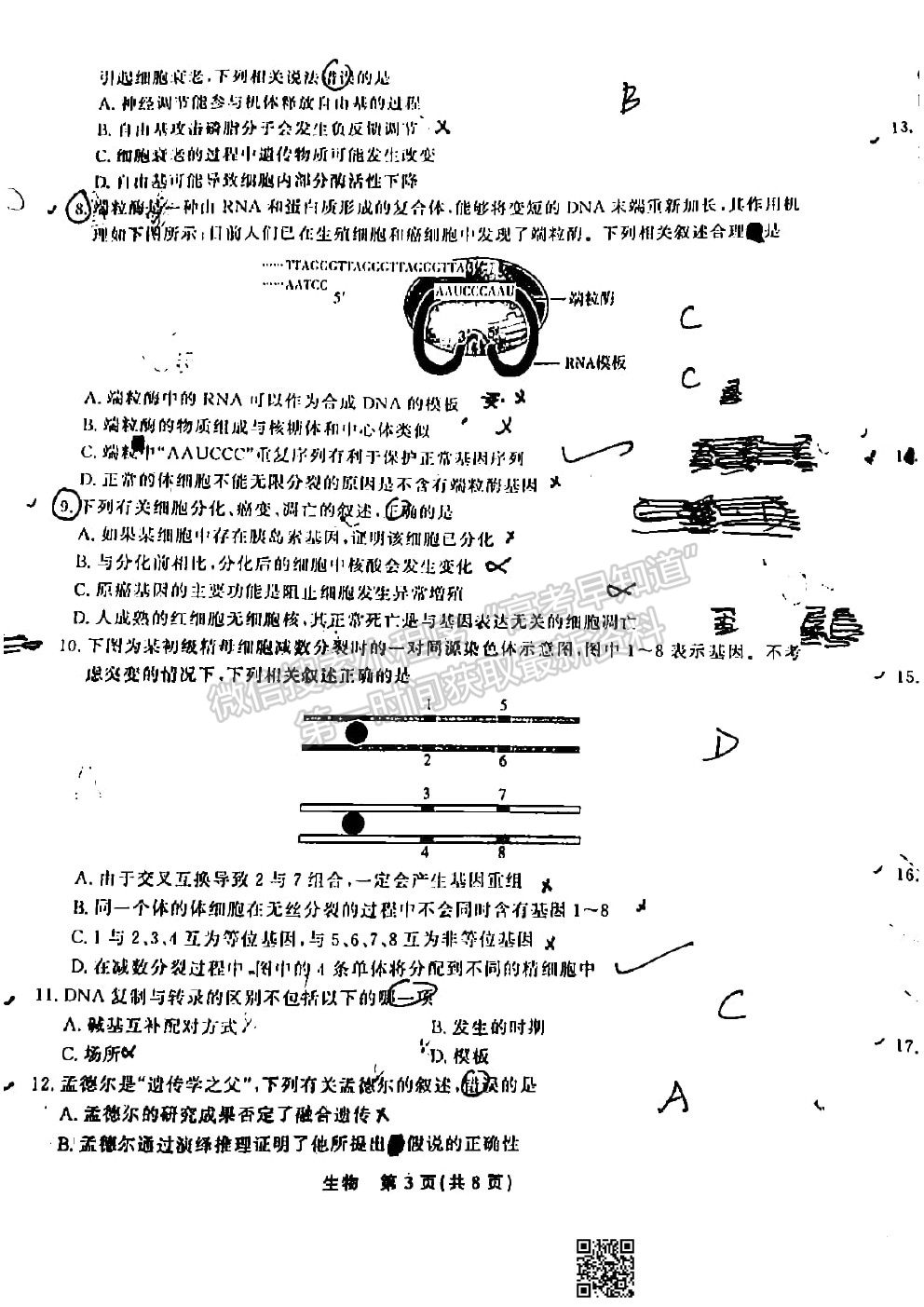 2022江西智學聯盟體高三聯考生物試卷及答案