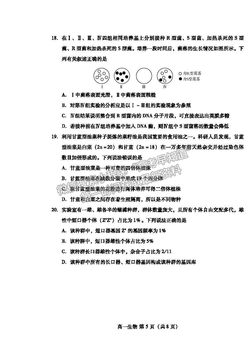 2021濰坊市高一下學(xué)期期末考試生物試卷及答案