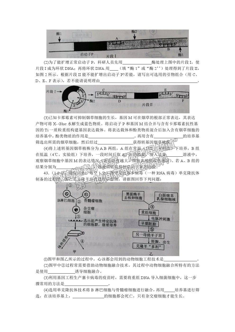 2021河南省南陽市高二下學(xué)期期末質(zhì)量評估生物試卷及答案