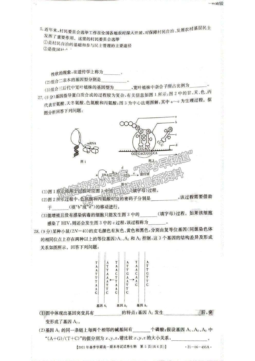 2021貴州省黔西南州高一下學(xué)期期末檢測(cè)生物試卷及答案