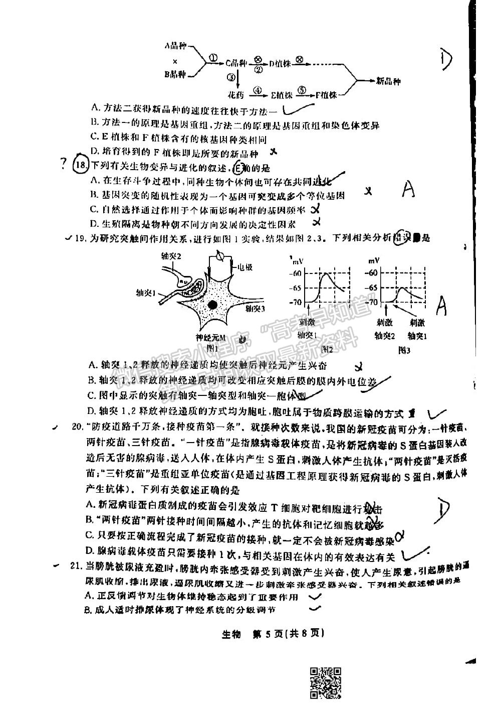 2022江西智學聯盟體高三聯考生物試卷及答案