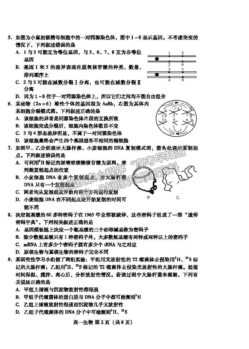 2021濰坊市高一下學(xué)期期末考試生物試卷及答案