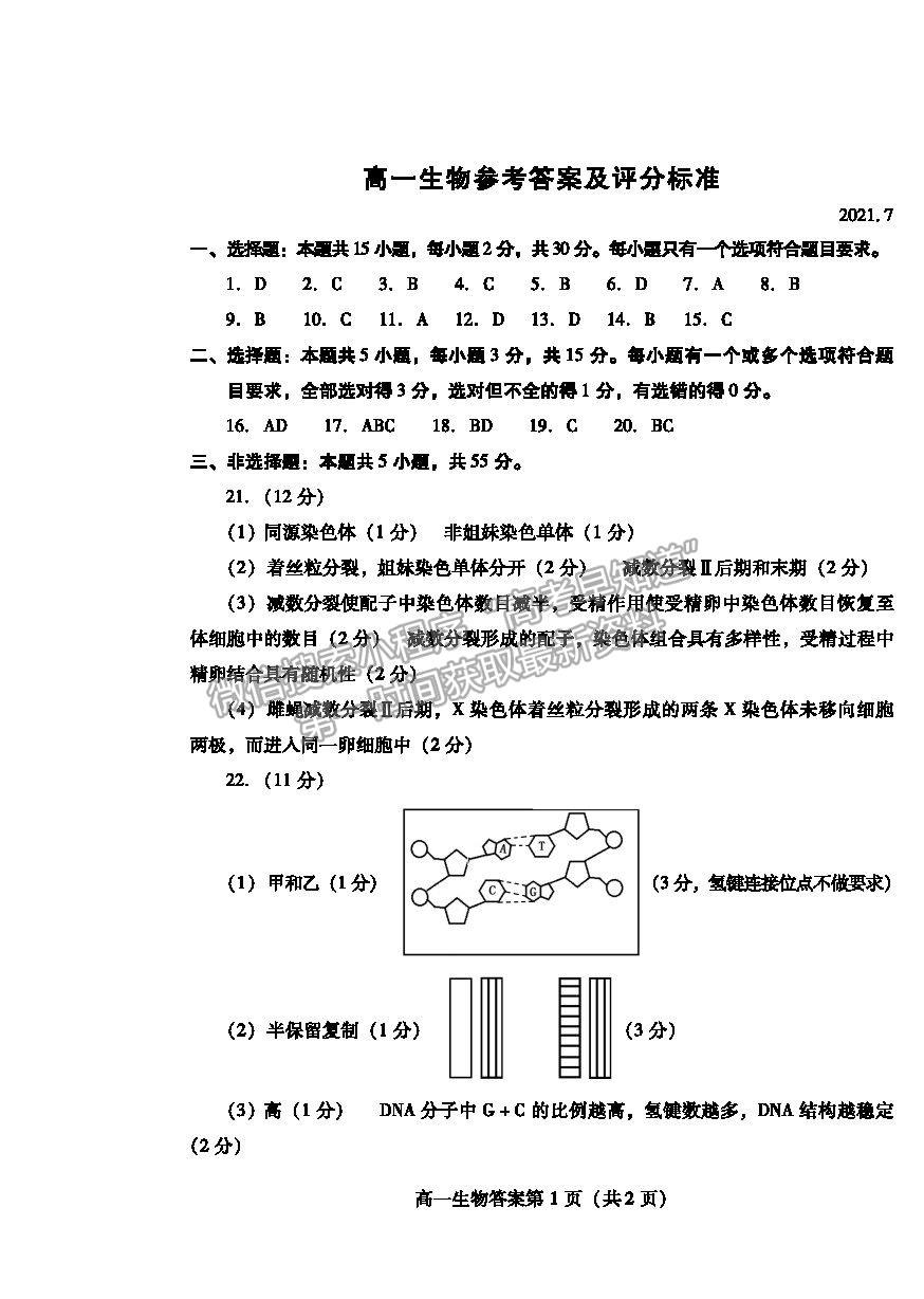 2021濰坊市高一下學(xué)期期末考試生物試卷及答案