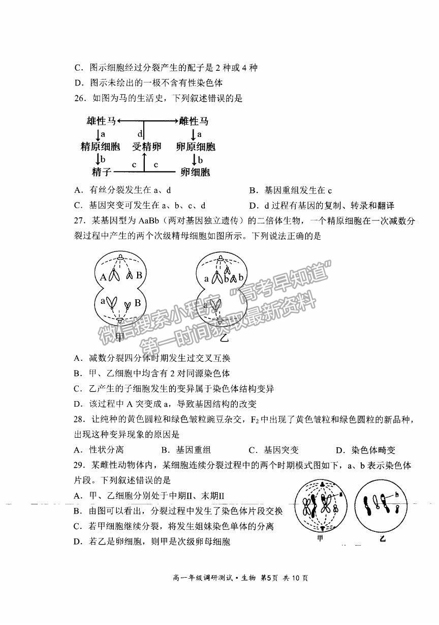 2021山西省朔州市懷仁市高一下學(xué)期期末考試生物試卷及答案