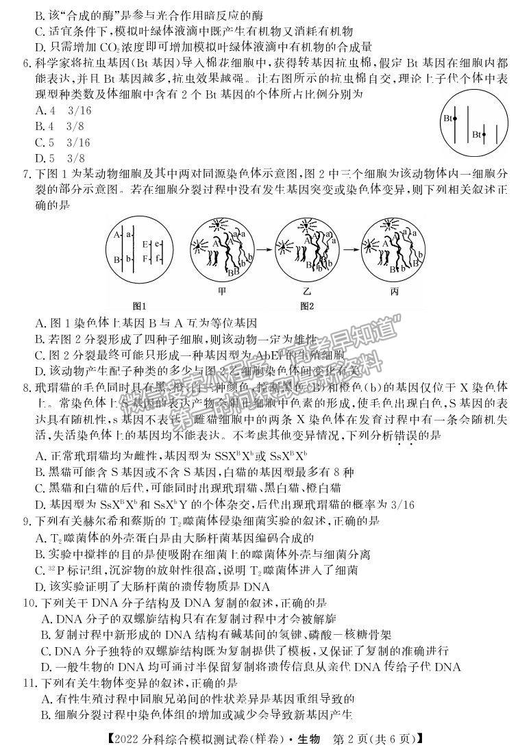 2022全國高考分科綜合模擬測試生物試卷及答案