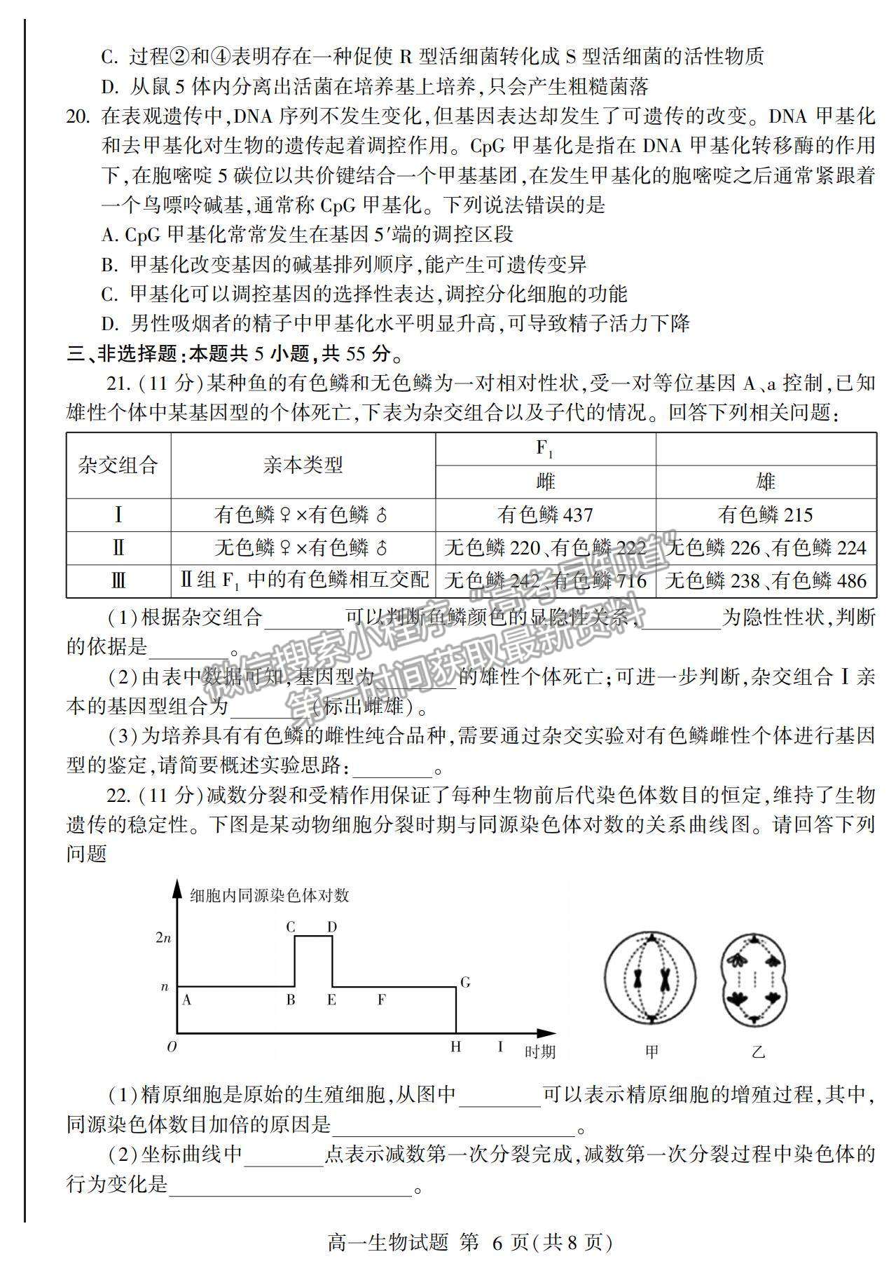 2021山東省臨沂市蘭山區(qū)、蘭陵縣高一下學期期中考試生物試卷及答案